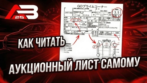 Как читать аукционный лист?